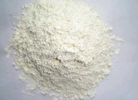 White Onion Powder